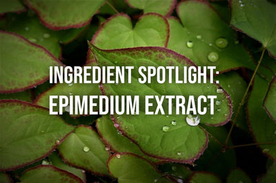 Ingredient Spotlight: Epimedium Extract
