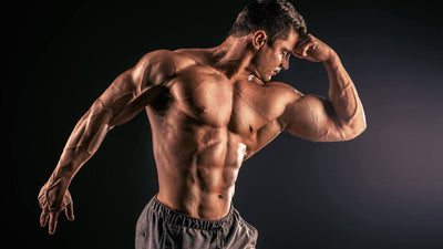 Laxogenin for Muscle Growth