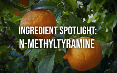 Ingredient Spotlight: N-Methyltyramine
