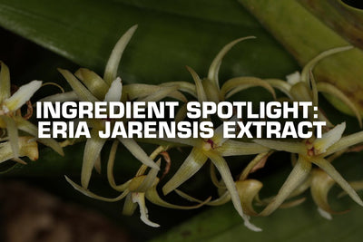 Ingredient Spotlight: Eria Jarensis Extract