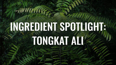 Ingredient Spotlight: Tongkat Ali