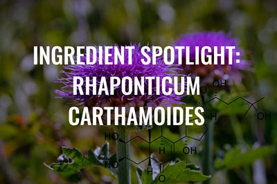 Ingredient Spotlight: Rhaponticum Carthamoides