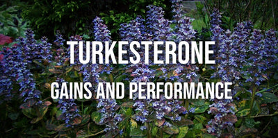 Turkesterone -- Gains And Performance