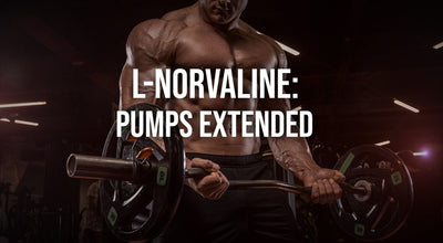 L-Norvaline: Pumps Extended