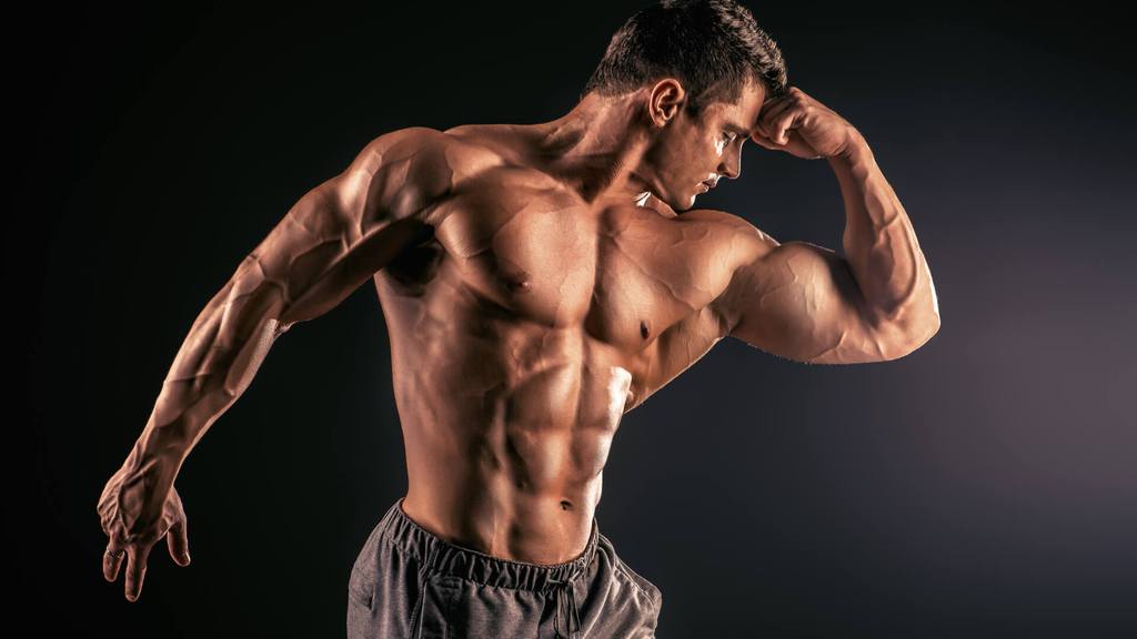 Laxogenin for Muscle Growth – KillerLabz