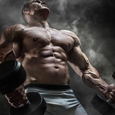 Top Supplements For Muscle Mass